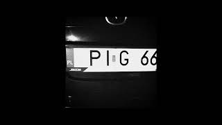 PIGGMENTS  EAR01WAV [upl. by Caughey]