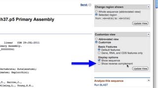 Obtain Genomic Sequence for a Gene [upl. by Yrennalf]