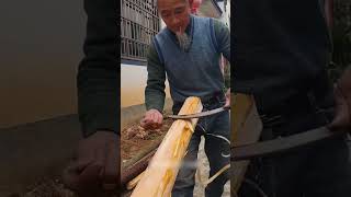 The process of peeling bark from a log [upl. by Niatsirhc]