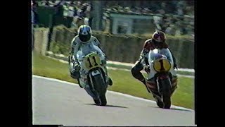 MotoGP  British 500cc GP  Silverstone 1981 [upl. by Akirahs]