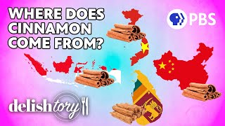 What Are The Different Types Of Cinnamon  Delishtory [upl. by Silver274]