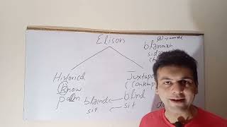 Elision ll Types ll Phonetics [upl. by Ennaylime946]