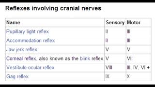 Cranial Nerve Reflexes  Corneal Lacrimation Jaw Jerk Pupillary amp Gag [upl. by Mabelle]