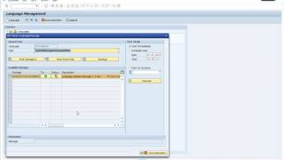 install language package in SAP [upl. by Maurie142]
