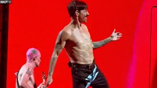 I Love Watching Anthony Kiedis Dance It’s Awesome And Funny At The Same Time 🕺🏻 Charlotte 2022 [upl. by Erwin]