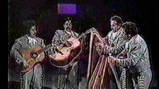 MARIACHI VARGAS DE TECALITLAN FRAGMENTO DEL POETA Y CABALLERIA LIGERA Y MEXICO ES MAGICO [upl. by Chrotoem]