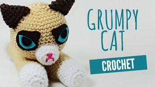 Grumpy quotFlatquot Cat Amigurumi Tutorial  Crochet With Me [upl. by Ike23]