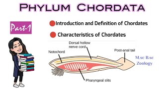 Part1 Introduction and Definition of ChordatesCharacteristics of ChordatesMsc Bsc Zoology NEET [upl. by Swor113]