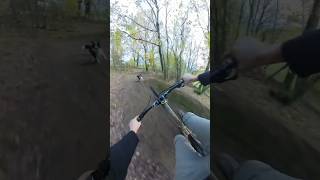 POV You and your traildog going fast rosebikes justride mtb mtblife [upl. by Luht]