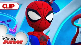 Spidey Shrinks  Marvels Spidey and his Amazing Friends  disneyjr​ [upl. by Coit960]