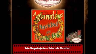 Trio Vegabajeño – Brisas de Navidad [upl. by Mooney]