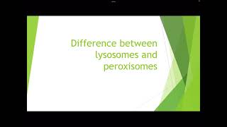 Difference between lysosomes and peroxisomes [upl. by Nosyd]