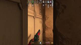 CS2 m0NESY VS Vitality ACE Highlight POV  20241102 cs2 [upl. by Adlemi]