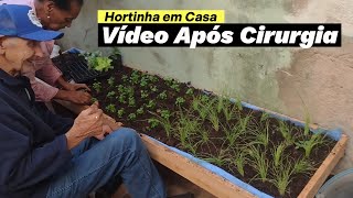 Hortinha em Casa  Vídeo Após Cirurgia [upl. by Orland462]