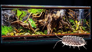 Isopod Tree Root Forest Vivarium with Easy Clay Background [upl. by Browne]