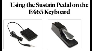 Introduction to Using the Sustain Pedal on the E463 Keyboard [upl. by Azelea]