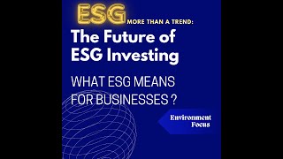 ESG Explained What It Means for Businesses [upl. by Nadbus]