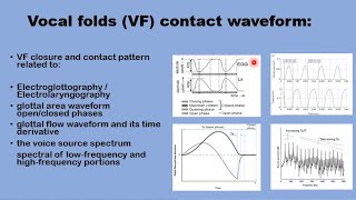 5 Vocal folds closure and contact pattern [upl. by Truc]