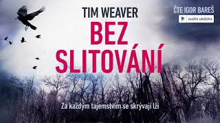 Tim Weaver  Bez slitování  Audiokniha [upl. by Glynias733]