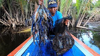 Spesial Edition Pancingku jadi rebutan udang sampai dapat sekarung langsung jual [upl. by Frymire]