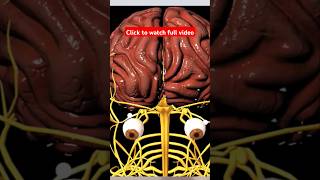 gabica 300 mg side effects in urdu shorts [upl. by Shaya]