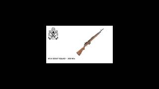 SPRINGFIELD ARMORY  M1A SCOUT SQUAD  308 Win  EUA [upl. by Ojimmas]