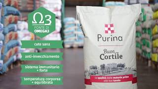 Purina Buon Cortile [upl. by Olinde]