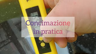 Concimare le orchidee video pratico sulla coltivazione in casa [upl. by Sivi]