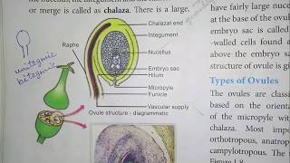 12th Biology Structure of Ovule [upl. by Ecnaralc]