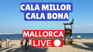 🔴 LIVE Cala Millor to Cala Bona Mallorca  30th January 2022 [upl. by Anotal]