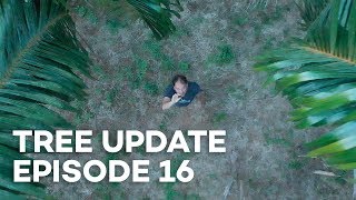 Tree Update Episode 16 [upl. by Obel]