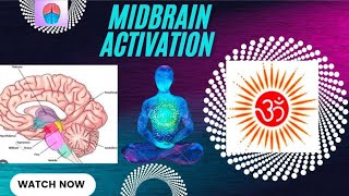 OM Midbrain Activation Jorhat Centre  Super Result in short period  Arnab amp Gauranga [upl. by Deny]