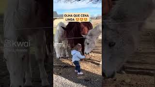 INCRÍVEL AMIZADE ENTRE ESTA BEBEZINHA E OS CAVALOS [upl. by Lachlan]