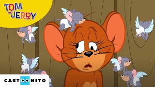 Tom und Jerry  Rivalen der Liebe  Cartoonito [upl. by Nnahs518]