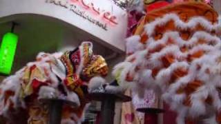 Chinese New Year Tiger Dance 舞虎 [upl. by Nade]