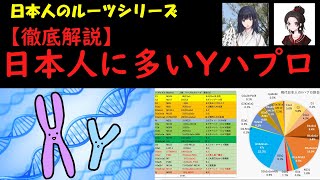 日本人に多いYハプロ【日本人のルーツシリーズ】 [upl. by Gratianna]