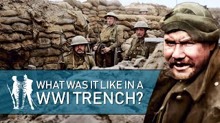 24 Hrs In The Trenches WW1 Documentary [upl. by Odlavu]