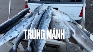 277🎣 Zô Mánh Trên 300 lb Cá ở Hoa Kỳ [upl. by Tonkin]