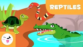 Reptiles for kids  Vertebrate animals  Natural Science For Kids [upl. by Eddy]