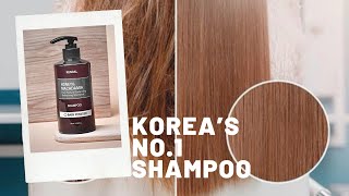 KOREAs NO1 CHOICE FOR HAIR CARE  KUNDAL SHAMPOO HONEST REVIEW [upl. by Solracnauj]