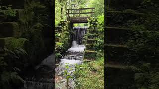 Unterwegs am Kaltenbach bei Annweiler  Wandern im Pfälzer Wald [upl. by Nilorac254]