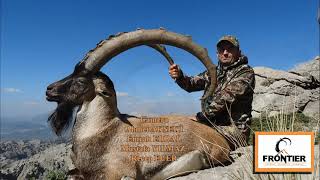 Bezoar Ibex Hunting in Turkey Ep 4 [upl. by Netsoj]