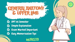 Muscles of Posterior Compartment of Forearm By Dr Areej Fatima PT [upl. by Nevada110]