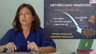 Rutas Metabólicas Metabolismo Anaerobio [upl. by Mcclelland711]