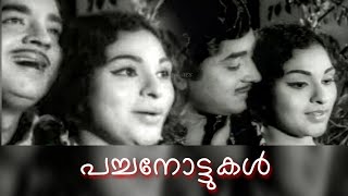 Pachanottukal  Malayalam Classic Full Movie  Prem Nazir  Vijayasree  Rani Chandra  Khadeeja [upl. by Nylyrehc]