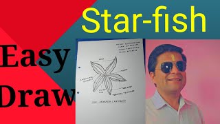 How to draw starfishfigure of starfisheasy starfish easydrawing [upl. by Zysk734]