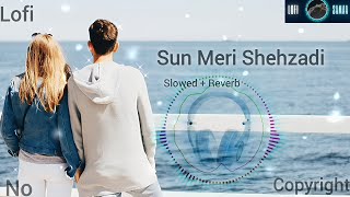 Sun meri shehzadi  lofi Slowed amp Reverb lofisamaa [upl. by Irahs]