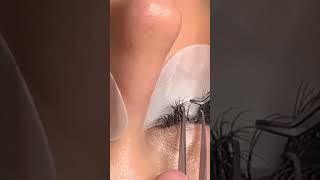 Mastering Minifills Tips for Perfect Eyelash Extensions in 30 Mins shorts eyelashextensions [upl. by Hu213]