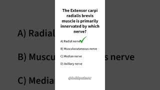 The Extensor carpi radialis brevis muscle is primarily innervated by which nerve Physiology [upl. by Lerad]