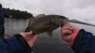 Umbagog lake bass fishing 2020 [upl. by Henrion]